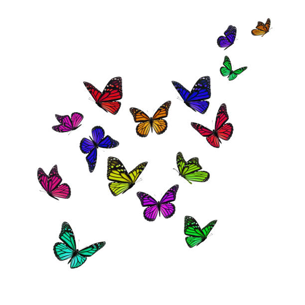 istock Beautiful monarch butterfly 1030122128