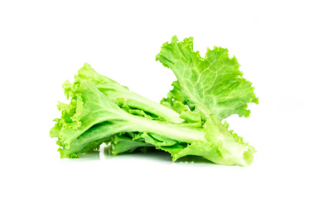 istock Salad leaf, Lettuce isolated on white background 1030130268