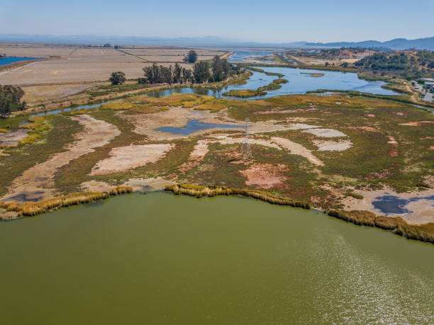 istock Bel Marin Keyes Wetlands 1030133388