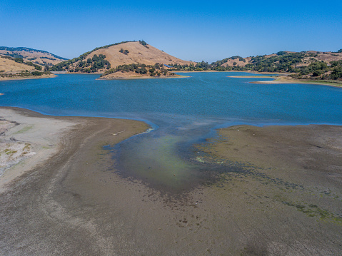 Aerial view of Stafford Lake in Novato California. A sunny day with blue skies and aqua colored water. The marsh is full of wildlife including deer and cattle egrets along the shore. A small island rises from the lake on a clear summer day.