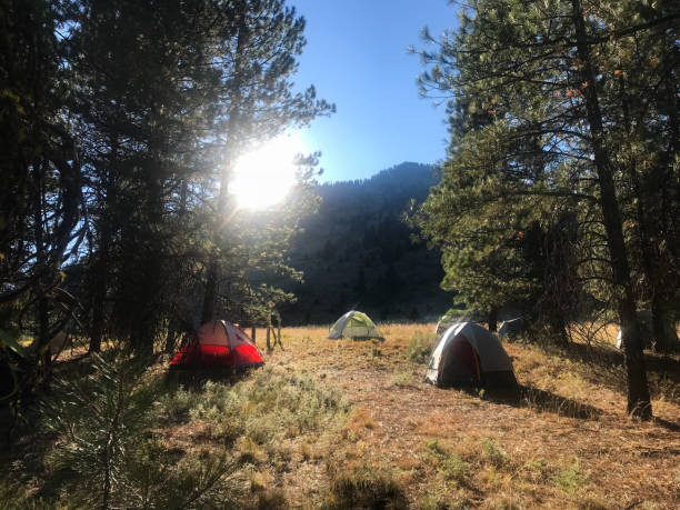 istock Camping in tents as sun crests the mountain 1030133470