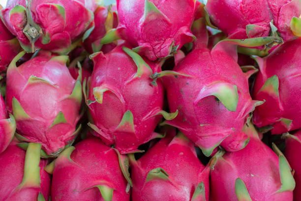 istock Fresh Red Dragon fruit in the market 1030148194