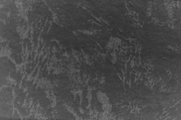 istock Gray old paper texture. Vintage background 1030158006