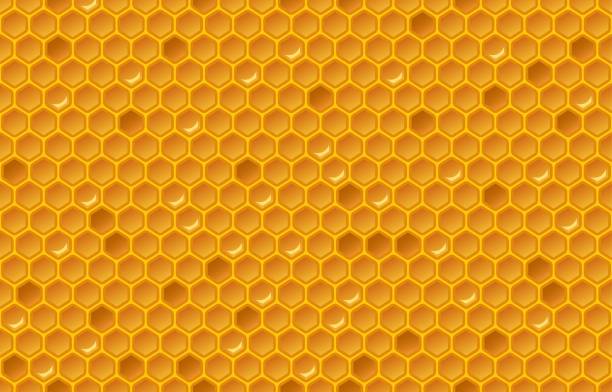 kuvapankkikuvitukset aiheesta hunajakennokuvio - beeswax