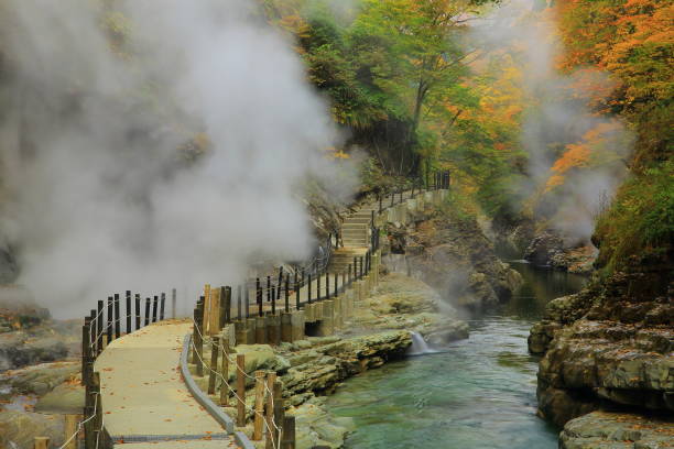 valle de las hojas de otoño - honshu fotografías e imágenes de stock