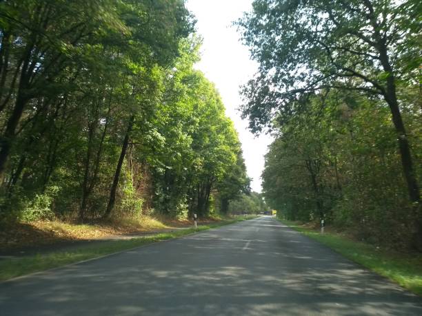 istock Typical German forest village road 1030185060