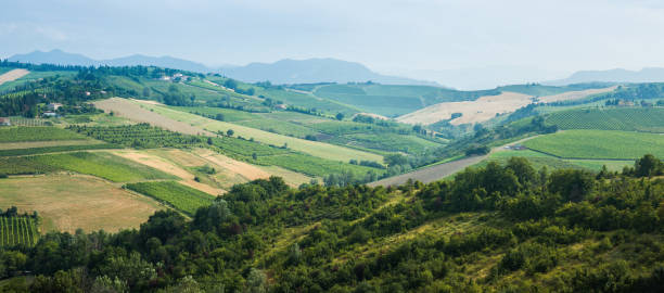 istock Typical Italian landscape in Tuscany 1030185096