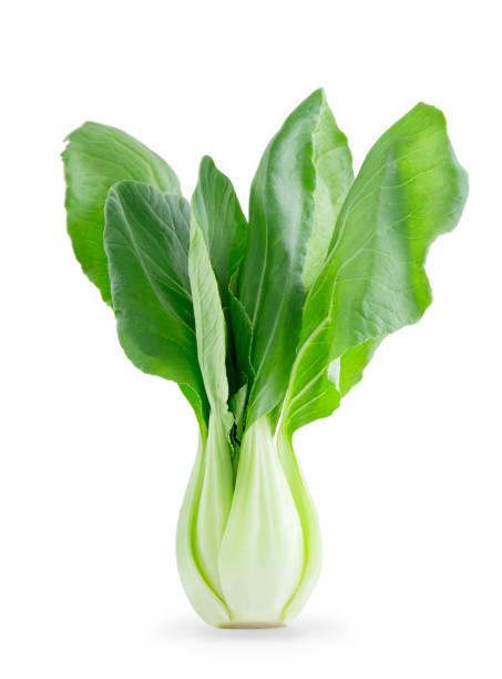 istock fresh Bok choy vegetable closeup isolated on white background. 1030188356