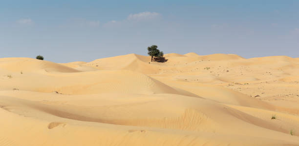istock Arabian desert in Dubai 1030191024