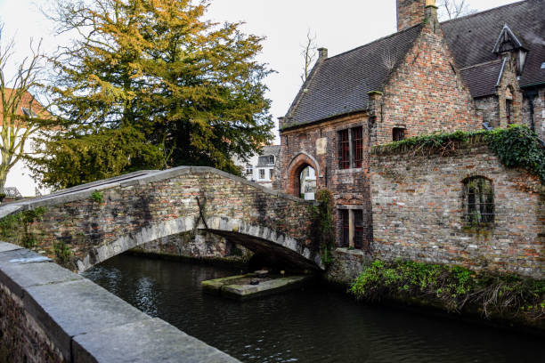istock Brugge city buildings and channels 1030199532