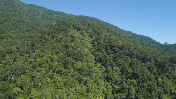 istock View of mountain landscape with rainforest 1030202168