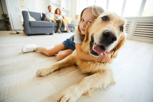 istock Giving hug to pet 1030202530