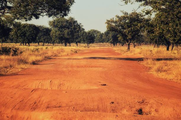 грязная красная дорога в гане, западная африка - wet clay стоковые фото и изображения