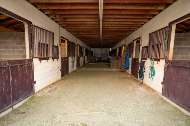 istock Interior of a Farm Barn and Stables 1030208498