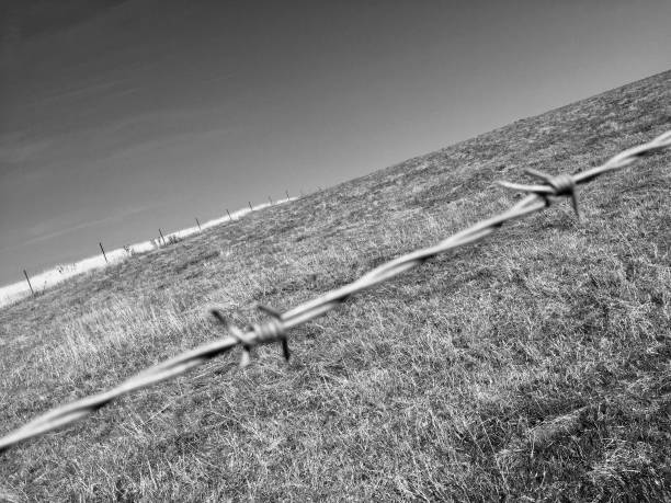 istock Barbed wire in Nomandy France 1030211974
