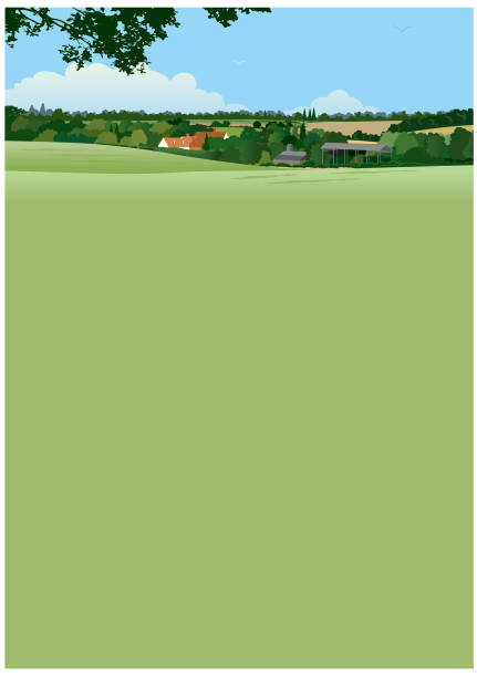 Green landscape illustration A typically English summer landscape with farm, woodland and fields, with a large area for copy. suffolk england stock illustrations