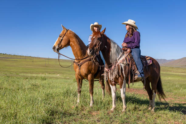 istock Two Cowgirls Talking While on Horseback 1030221964