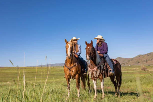 istock Two Cowgirls Talking While on Horseback 1030221978