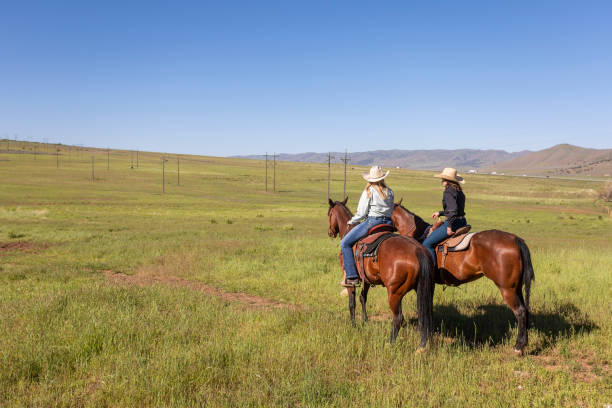 istock Two Cowgirls Talking While on Horseback 1030222054