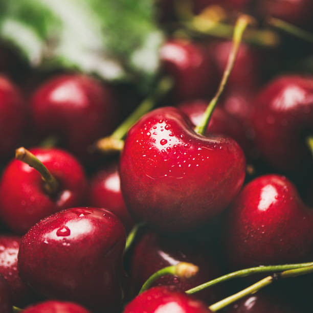 istock Fresh sweet cherry texture, wallpaper and background, close-up, square crop 1030229148