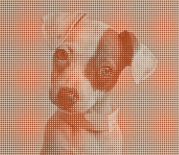 istock Cute Puppy Jack Russell Terrier dog in animal shelter 1030232876