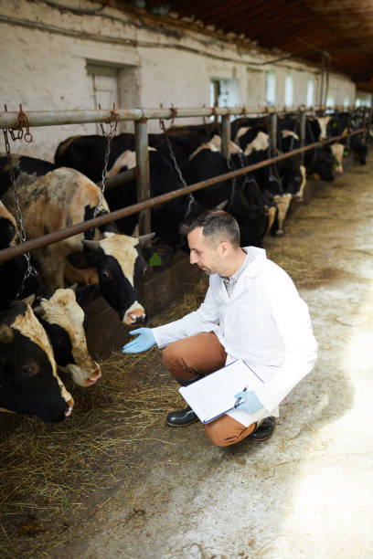istock Mature Vet at Farm 1030239408