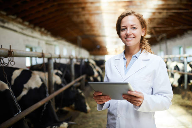 istock Smiling Veterinarian Working at Farm 1030239420