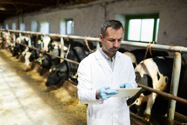 istock Veterinarian at Modern Farm 1030239424