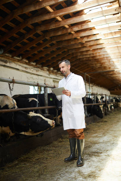 istock Mature Veterinarian Working at Farm 1030239428