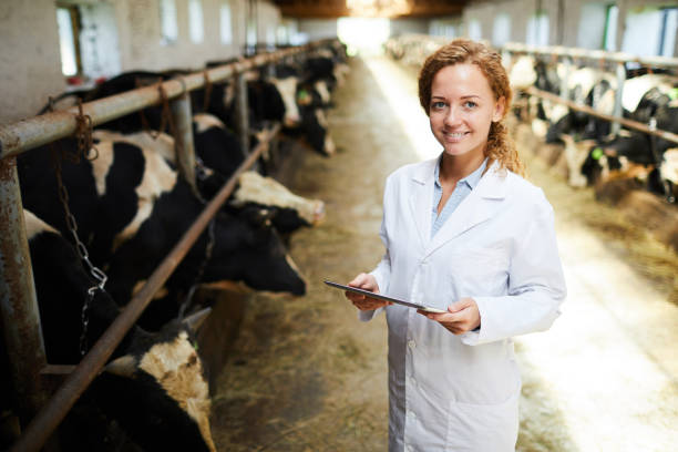 istock Female Veterinarian Working at Farm 1030239434