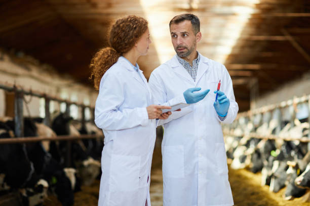 istock Health Inspection at Farm 1030239468