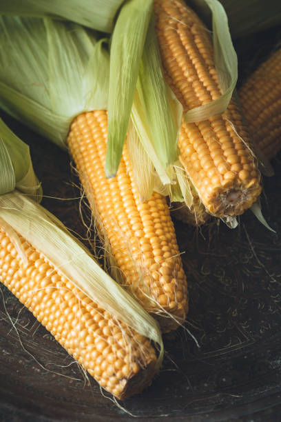 epi de maïs frais sur bois encariñados - corn on the cob fotos fotografías e imágenes de stock