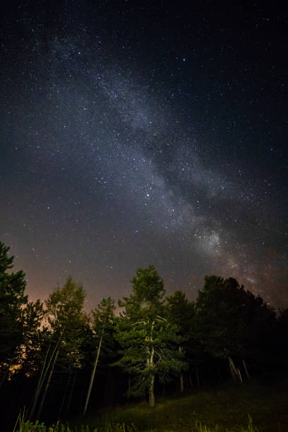 istock Milky Way Night Sky in Woodland 1030244014