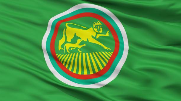 istock Stara Zagora City Flag, Bulgaria, Closeup View 1030247942