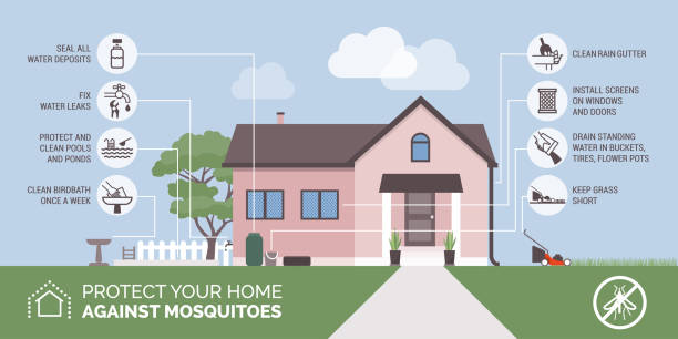 инфографика по профилактике укусов комаров - pest stock illustrations