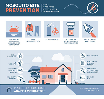 Mosquito bite prevention infographic: how to avoid mosquito bites and how to keep your house safe