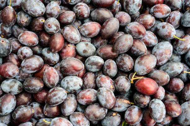 istock Pile of Plums 1030250806