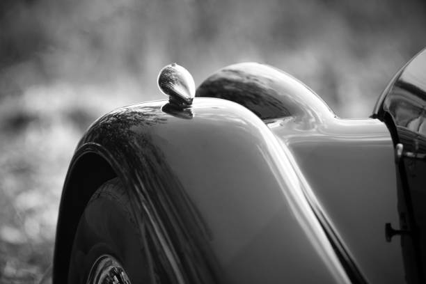 istock Curved fender from classic car 1030251022