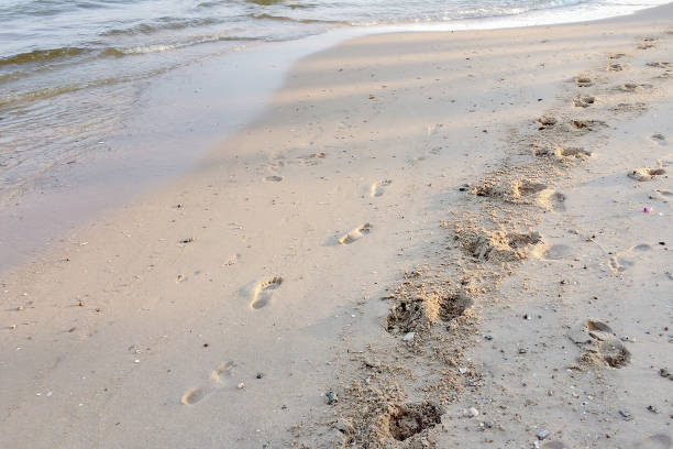 근접 촬영 발자국 남자 여름 비치와 황혼의 시간에 바다의 분위기에 모래에 말 - sand footprint track following 뉴스 사진 이미지