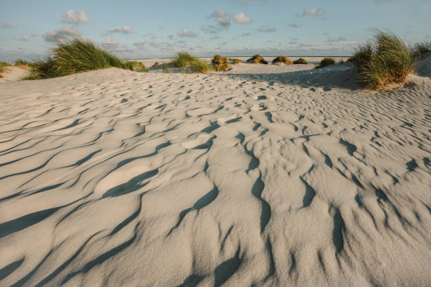 coast landscape isola di amrum - amrum summer spring island foto e immagini stock