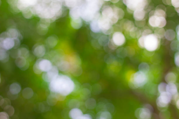 istock blurry green nature forest landscape background with :blurred bokeh natural backdrop 1030263754