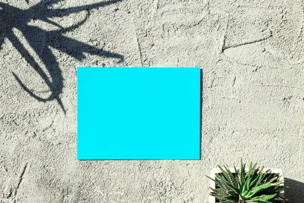Clean sheet of paper on a concrete background. Blue paper, shadows of plants. Top view. Copy space