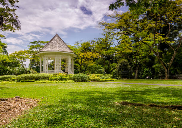 istock Beauty and Tranquil Garden 1030267352