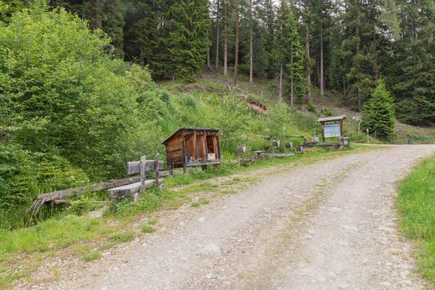 Water games on a themed hiking trail, Austria