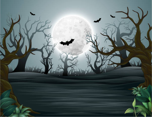 bildbanksillustrationer, clip art samt tecknat material och ikoner med kusliga skogen av halloween dimmiga mysterium - moon forest