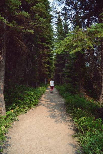 istock Mid adult hiker walking in the forest 1030280940