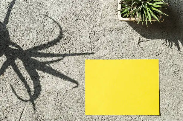 Clean sheet of paper on a concrete background. Yellow paper, shadows of plants. Top view. Copy space