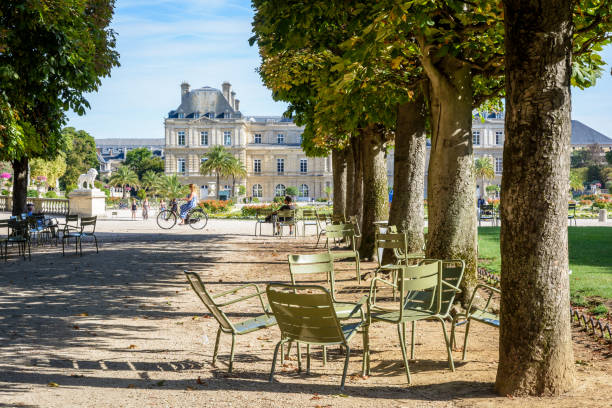 le jardin du luxembourg à paris, par un matin d’été ensoleillée avec allée bordée d’arbres ombreux, gens, faire du vélo, se promener ou reposant sur des chaises de jardin métal et le palais du luxembourg en arrière-plan. - jardin luxembourg photos et images de collection