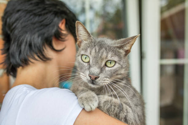 istock Women holding her cat 1030281640