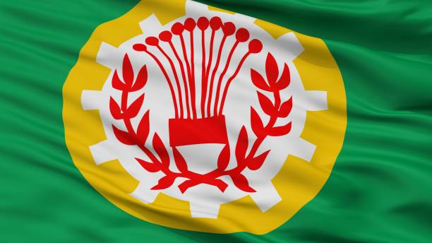 istock Daqahliya City Flag, Egypt, Closeup View 1030285344